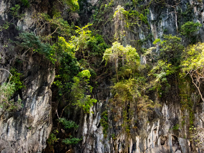 Thailand